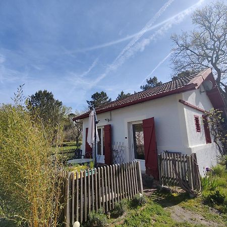 D&D, La Maison Des Ecureuils Lesperon  Zewnętrze zdjęcie